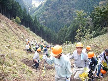「とっとり共生の森」により企業と連携した森づくりが進む