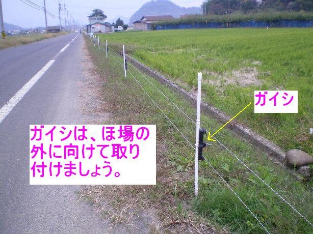 ガイシの向き