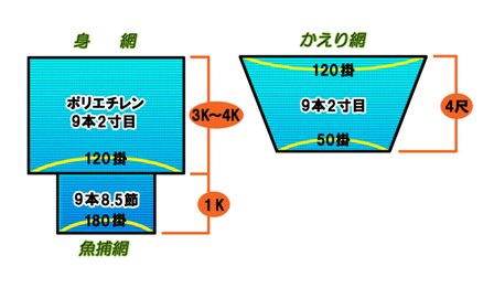 網の展開図