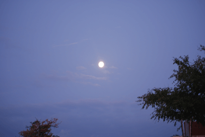 中秋の名月の写真