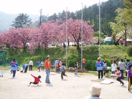 4月桜祭り