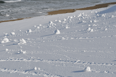 俵雪