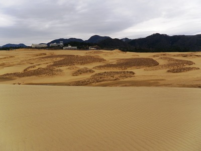 茂み砂丘の遠景