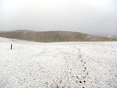 雪模様