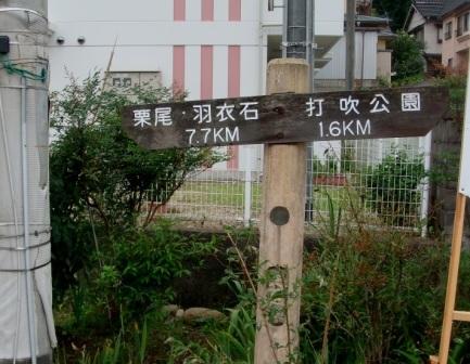 誘導標識