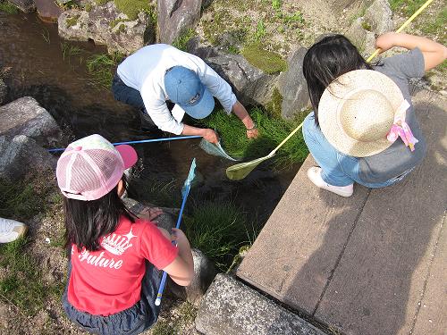 こんな場所に生き物がいるよ