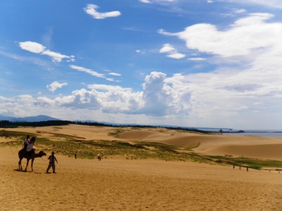 夏モード全開の風景