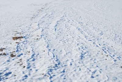 雪の砂丘