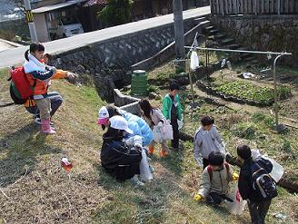 たくさんとれるかな？山野草集め