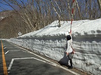 道路脇の雪１