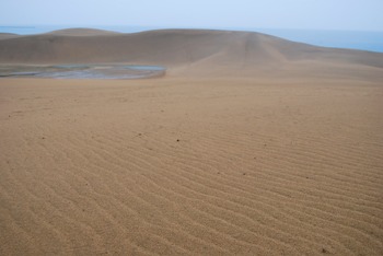 馬の背の風景