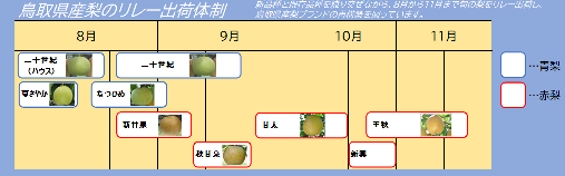 鳥取県産梨のリレー出荷体制