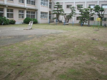 大栄小学校中庭芝張り完成