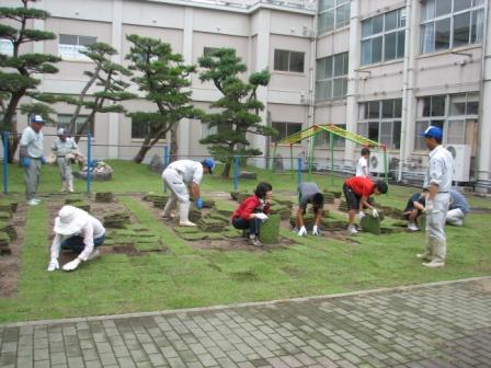 大栄小学校中庭芝張り作業