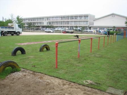 大栄小学校校庭芝張り完成