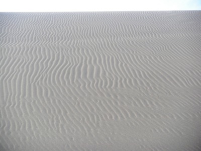 風紋