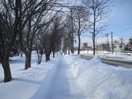 札幌市内の様子の写真