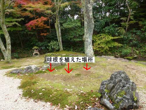第1応接からの眺め