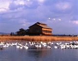 米子水鳥公園