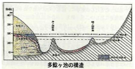 多鯰池の構造