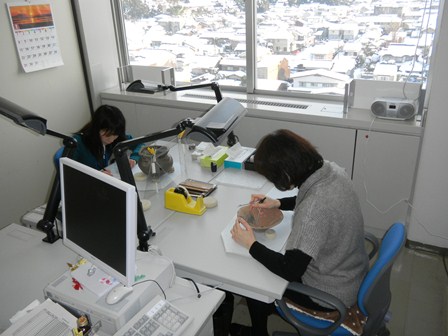 県史編さん室分室での作業風景の写真