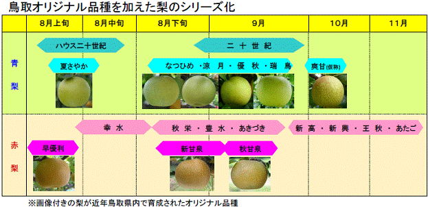 梨のシリーズ化