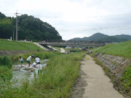 水生生物調査(2)