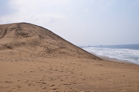 今日の砂丘
