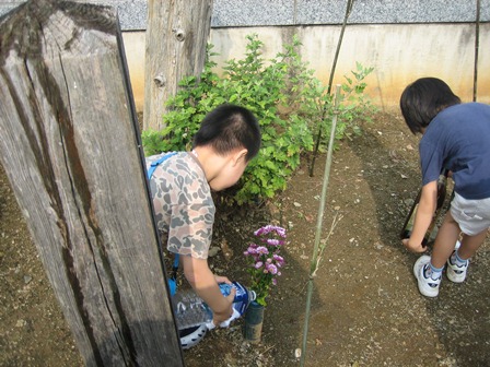 茨城県北部にある墓地の木碑の写真