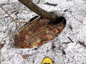 丸く溶けた雪