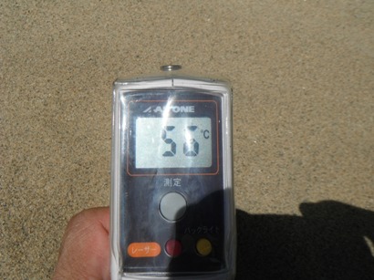砂の温度５６℃