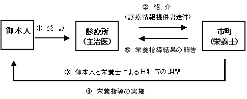 栄養指導の流れの図