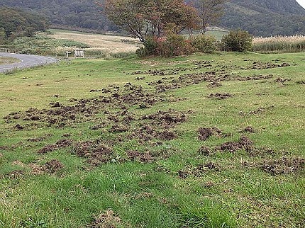 地面に空いた穴