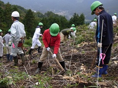 植樹作業