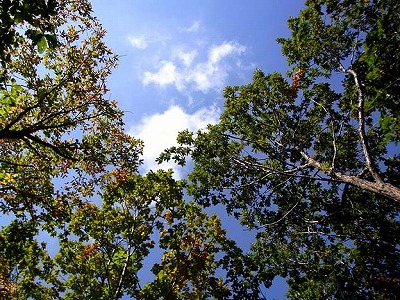 青空