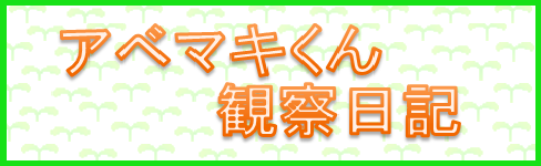 アベマキくん観察日記のページへリンクします