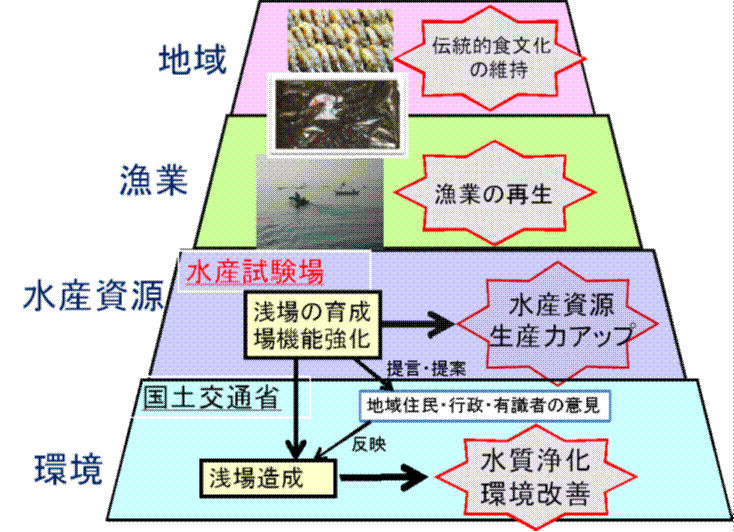 事業展開