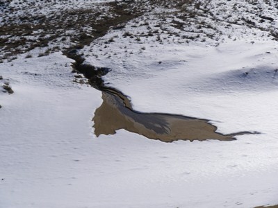 オットセイの様な雪解け跡