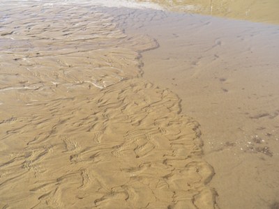 流砂の模様その１