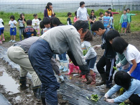 作業をする岸本小学校の生徒たち