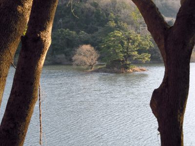 小島