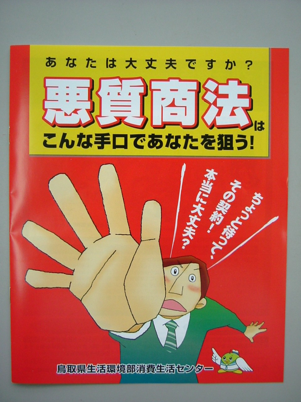 パンフレットの写真
