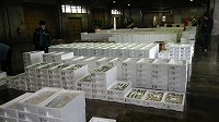酒津、浜村、夏泊、青谷、泊の水揚げ状況