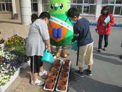 飼育栽培委員が水やりをしています