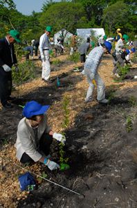 めぐみの森の植樹の様子