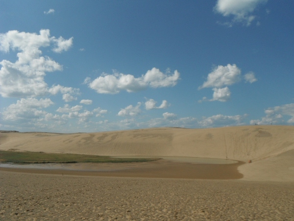 砂丘遠景