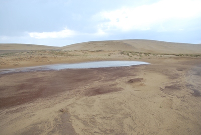 火山灰露出地のオアシス