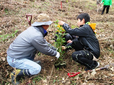 植樹の様子