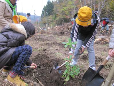 美鳥の大使の植樹の様子1