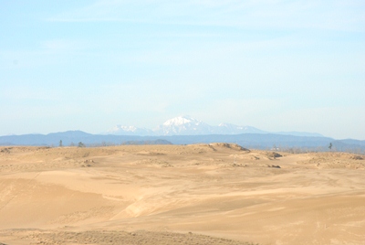 雪をかぶった大山